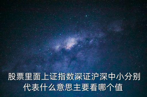  股票里面上證指數(shù)深證滬深中小分別代表什么意思主要看哪個值