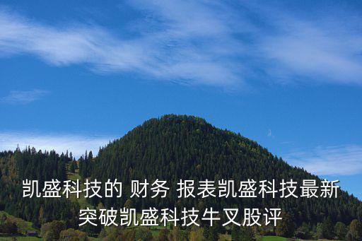 凱盛科技的 財(cái)務(wù) 報(bào)表凱盛科技最新突破凱盛科技牛叉股評(píng)