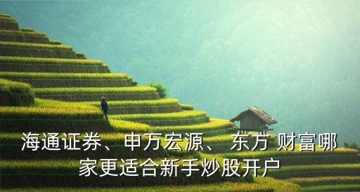 海通證券、申萬宏源、 東方 財富哪家更適合新手炒股開戶