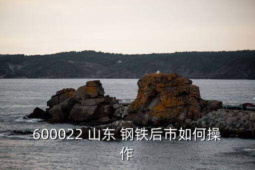 600022 山東 鋼鐵后市如何操作