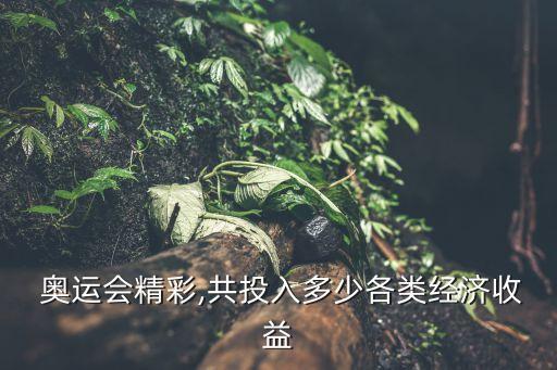  奧運會精彩,共投入多少各類經(jīng)濟收益