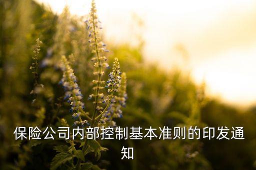  保險(xiǎn)公司內(nèi)部控制基本準(zhǔn)則的印發(fā)通知