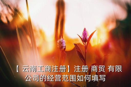 【 云南工商注冊(cè)】注冊(cè) 商貿(mào) 有限公司的經(jīng)營(yíng)范圍如何填寫