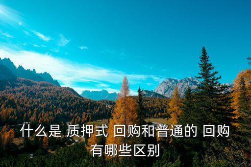 股票質(zhì)押式回購是什么意思