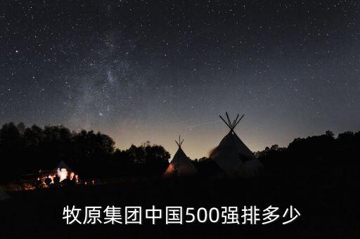  牧原集團中國500強排多少