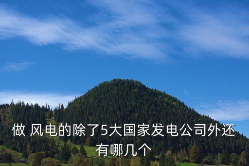 做 風(fēng)電的除了5大國(guó)家發(fā)電公司外還有哪幾個(gè)