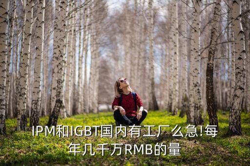 IPM和IGBT國(guó)內(nèi)有工廠么急!每年幾千萬(wàn)RMB的量