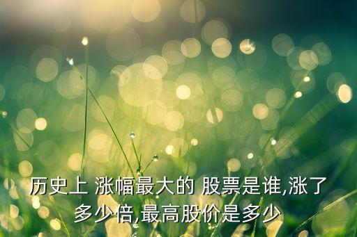 歷史上 漲幅最大的 股票是誰,漲了多少倍,最高股價(jià)是多少