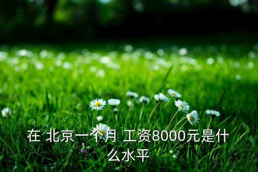 在 北京一個月 工資8000元是什么水平