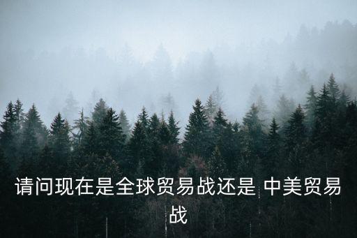 請問現(xiàn)在是全球貿(mào)易戰(zhàn)還是 中美貿(mào)易戰(zhàn)