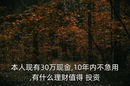 本人現(xiàn)有30萬現(xiàn)金,10年內(nèi)不急用,有什么理財值得 投資