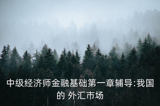 中級經(jīng)濟師金融基礎(chǔ)第一章輔導(dǎo):我國的 外匯市場