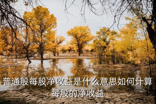 普通股每股凈收益是什么意思如何計算每股的凈收益