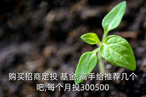 購(gòu)買招商定投 基金,高手給推薦幾個(gè)吧,每個(gè)月投300500