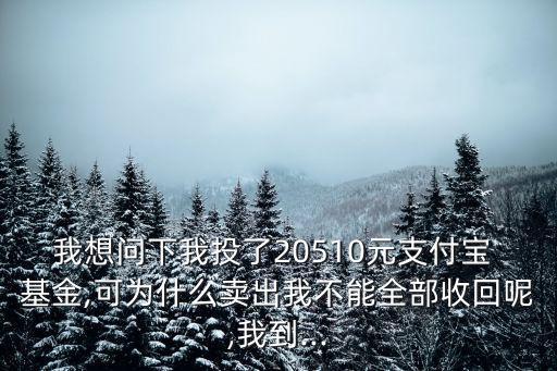 我想問下我投了20510元支付寶 基金,可為什么賣出我不能全部收回呢,我到...