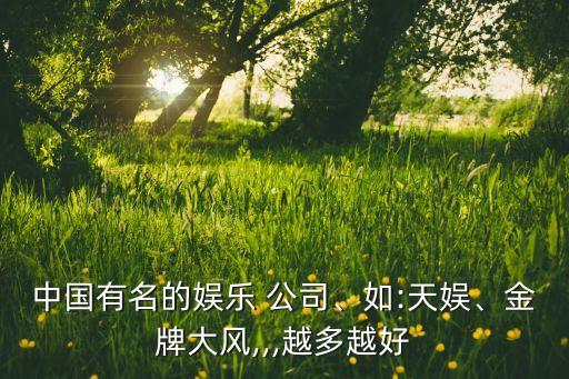 中國(guó)有名的娛樂(lè) 公司、如:天娛、金牌大風(fēng),,,越多越好