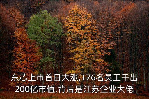 東芯上市首日大漲,176名員工干出200億市值,背后是江蘇企業(yè)大佬