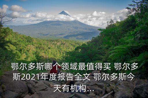  鄂爾多斯哪個(gè)領(lǐng)域最值得買(mǎi) 鄂爾多斯2021年度報(bào)告全文 鄂爾多斯今天有機(jī)構(gòu)...