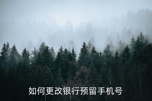 如何更改銀行預(yù)留手機號