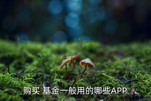 購買 基金一般用的哪些APP