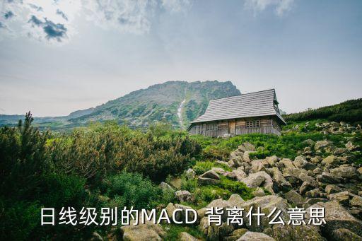  日線級(jí)別的MACD 背離什么意思