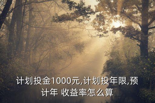 計(jì)劃投金1000元,計(jì)劃投年限,預(yù)計(jì)年 收益率怎么算