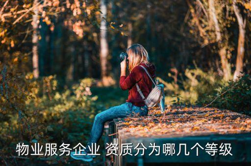 物業(yè)服務企業(yè) 資質分為哪幾個等級