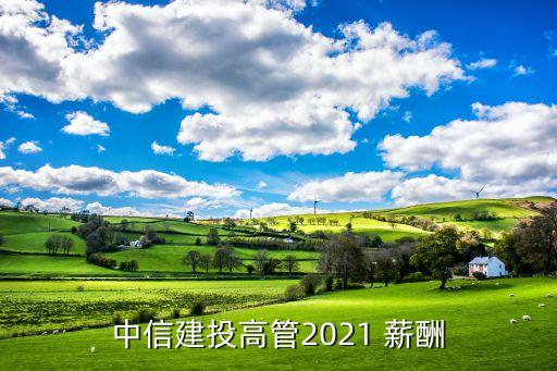 中信建投高管2021 薪酬