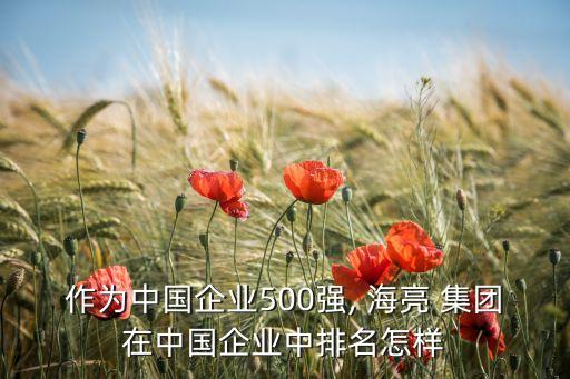 作為中國(guó)企業(yè)500強(qiáng), 海亮 集團(tuán)在中國(guó)企業(yè)中排名怎樣