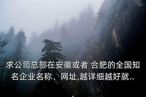 求公司總部在安徽或者 合肥的全國知名企業(yè)名稱、網(wǎng)址,越詳細(xì)越好就...