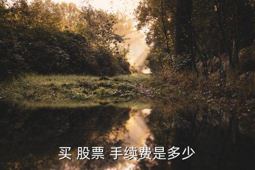 買 股票 手續(xù)費(fèi)是多少