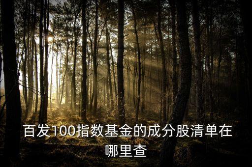  百發(fā)100指數(shù)基金的成分股清單在哪里查