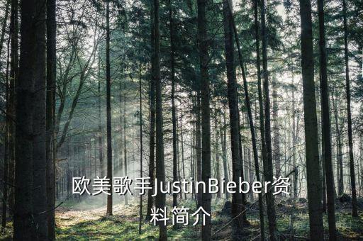 歐美歌手JustinBieber資料簡介