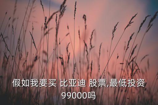 假如我要買 比亞迪 股票,最低投資99000嗎