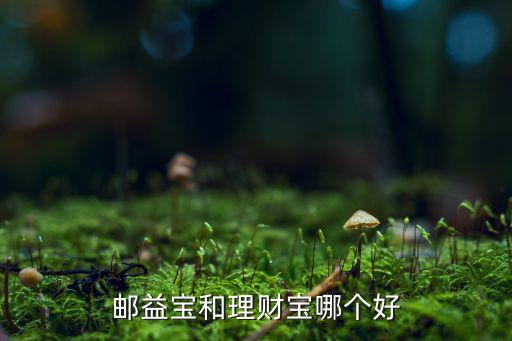 基金易方達(dá)財(cái)富快線,易方達(dá)積極成長基金凈值