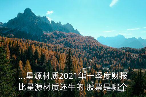 ...星源材質(zhì)2021年一季度財報比星源材質(zhì)還牛的 股票是哪個