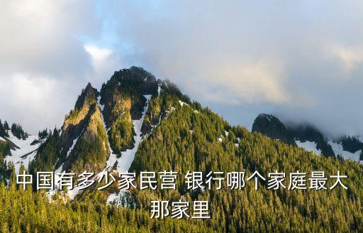 中國(guó)有多少家民營(yíng) 銀行哪個(gè)家庭最大那家里