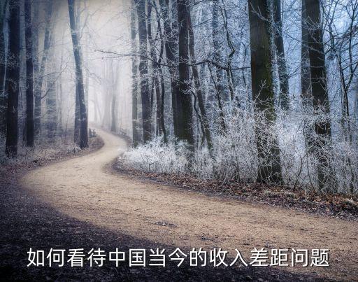 如何看待中國當(dāng)今的收入差距問題