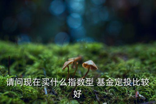 請(qǐng)問(wèn)現(xiàn)在買什么指數(shù)型 基金定投比較好