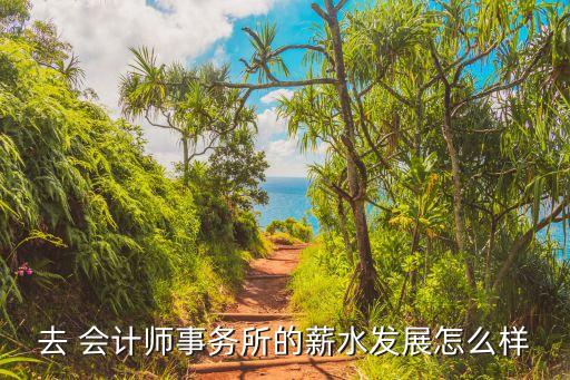 去 會計師事務(wù)所的薪水發(fā)展怎么樣