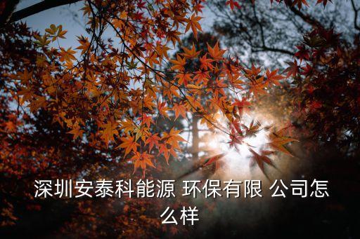  深圳安泰科能源 環(huán)保有限 公司怎么樣