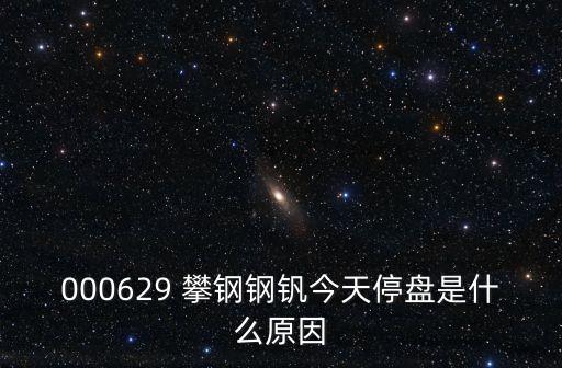 000629 攀鋼鋼釩今天停盤是什么原因