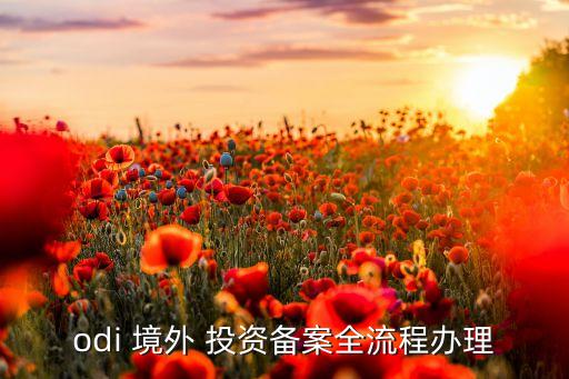 odi 境外 投資備案全流程辦理