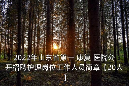 2022年山東省第一 康復 醫(yī)院公開招聘護理崗位工作人員簡章【20人】