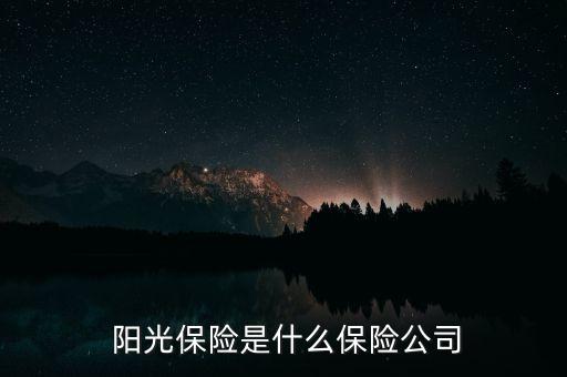  陽光保險(xiǎn)是什么保險(xiǎn)公司