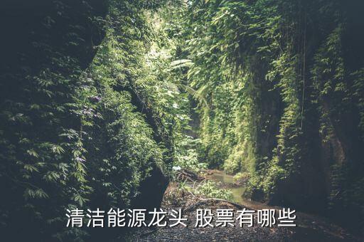 清潔能源龍頭 股票有哪些