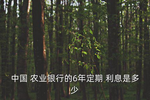 中國(guó) 農(nóng)業(yè)銀行的6年定期 利息是多少