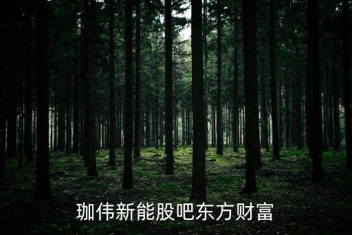 珈偉新能股吧東方財(cái)富