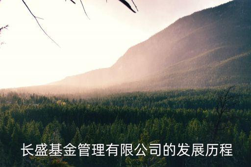  長盛基金管理有限公司的發(fā)展歷程