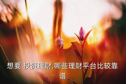 想要 投資理財(cái),哪些理財(cái)平臺(tái)比較靠譜